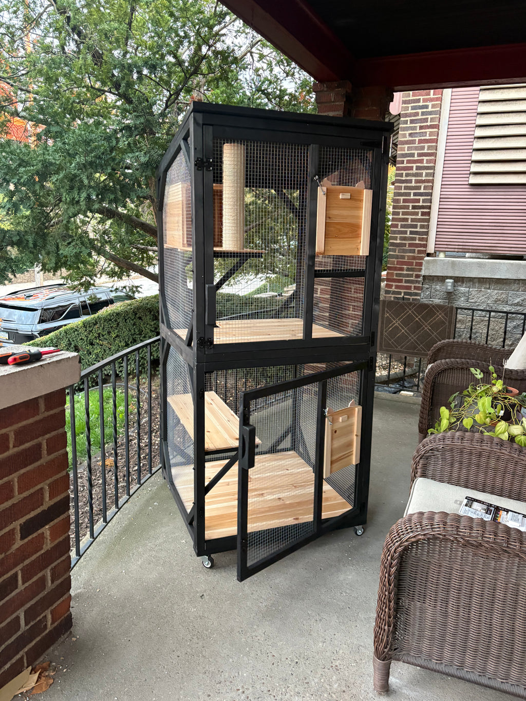Safe Outdoor Fun for Indoor Cats - Cat Catio Enclosure