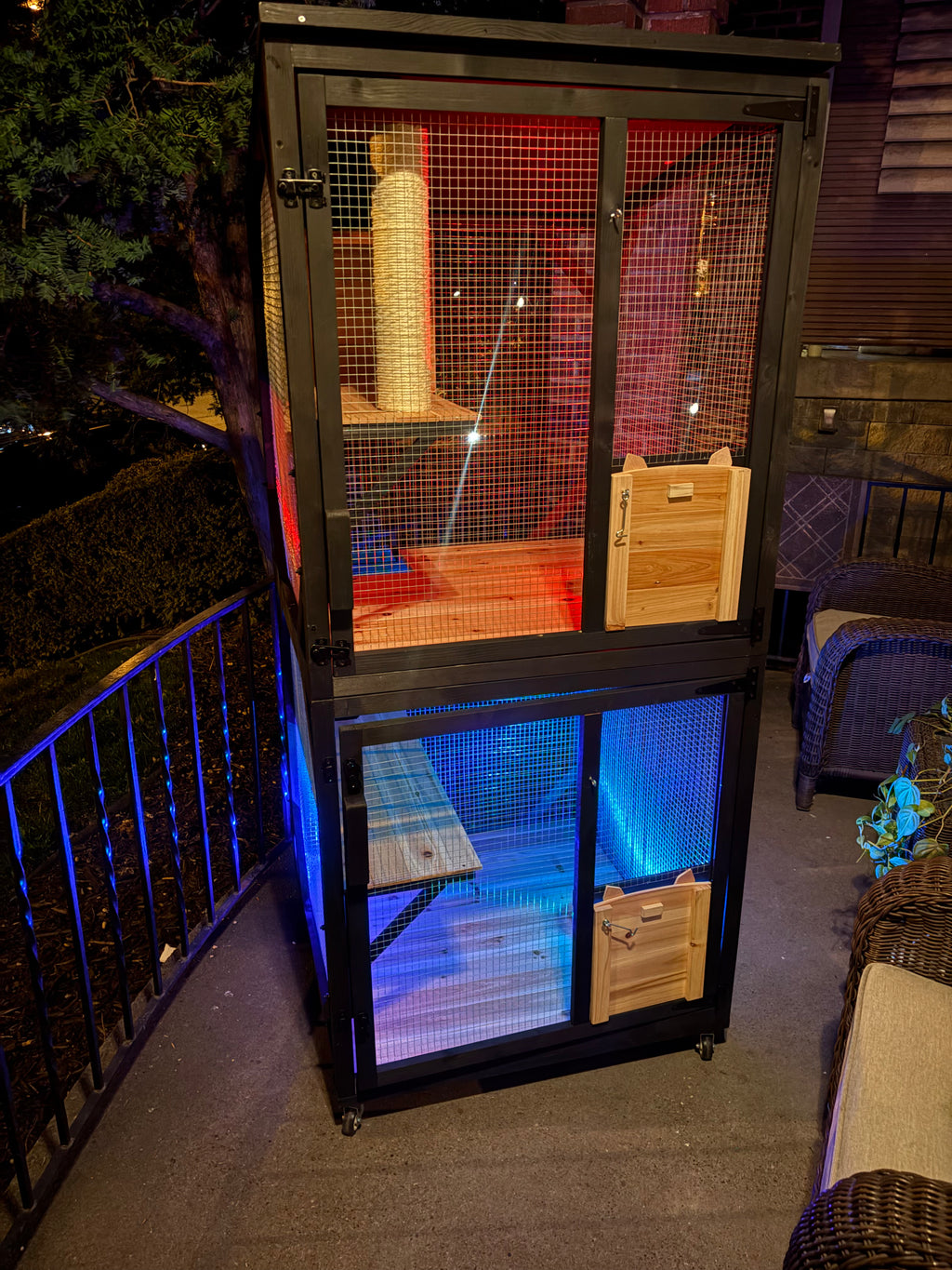 Safe Outdoor Fun for Indoor Cats - Cat Catio Enclosure